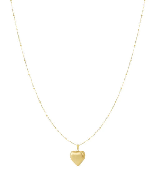 Amour Heart Necklace – Goud